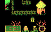 Feud for IBM PC/Compatibles - Exploring the area...