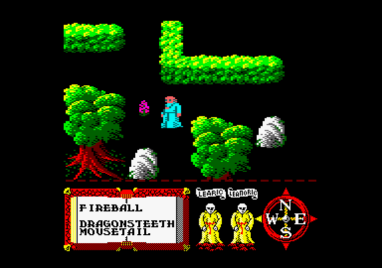 Feud Amstrad CPC Screenshot: What's this? Can I use it for anything?