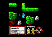 Feud for Amstrad CPC - What's this? Can I use it for anything?