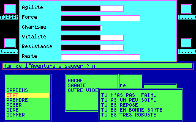 Sapiens IBM PC/Compatibles Screenshot: Player stats.
