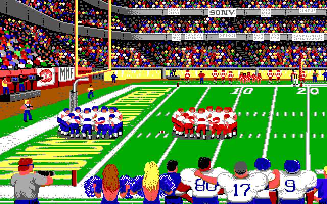 ABC Monday Night Football IBM PC/Compatibles Screenshot: In touchdown territory...