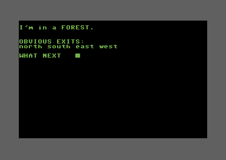 Adventure Quest IV Commodore 64 Screenshot: Cavern of Riches - I am once again lost in a forest.