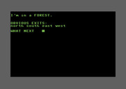 Adventure Quest IV for Commodore 64 - Cavern of Riches - I am once again lost in a forest.