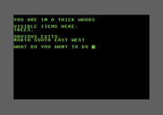Adventure Quest IV for Commodore 64 - Castle Adventure - more woods to be lost in...
