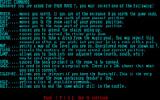 Adventure Quest IV for IBM PC/Compatibles - Amulet of Yendor - part of the game instructions.