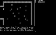 Adventure Quest IV for IBM PC/Compatibles - Golden Wombat - It's a snake guarding a lamp!