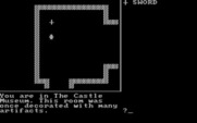 Adventure Quest IV for IBM PC/Compatibles - Golden Wombat - I found a sword!