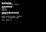 Adventure Quest IV for Apple II - Stoneville Manor - The parser is somewhat (very) limited...
