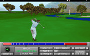 Jack Nicklaus Golf & Course Design: Signature Edition for IBM PC/Compatibles - My shot lands near the green!