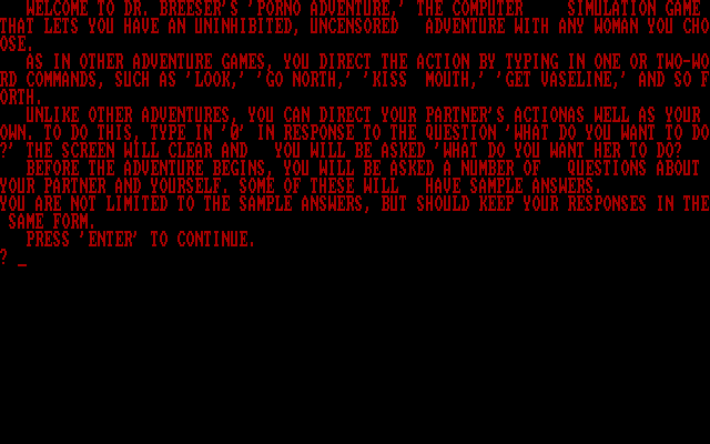 Porno Adventure IBM PC/Compatibles Screenshot: About the game.