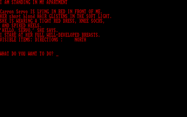 Porno Adventure IBM PC/Compatibles Screenshot: Description of the scene so far...