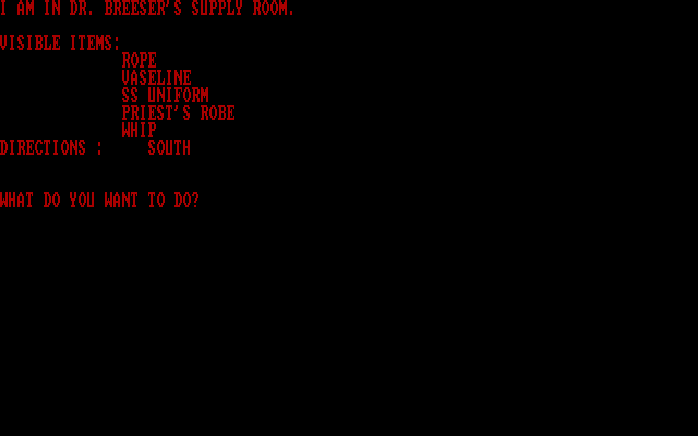Porno Adventure IBM PC/Compatibles Screenshot: Game start; what will you do?