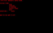 Porno Adventure for IBM PC/Compatibles - Game start; what will you do?