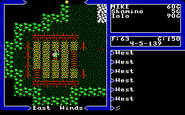 Ultima V: Warriors of Destiny IBM PC/Compatibles Screenshot: Looks like I found a field...