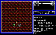 Ultima V: Warriors of Destiny for IBM PC/Compatibles - Battle time!