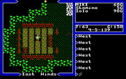 Ultima V: Warriors of Destiny for IBM PC/Compatibles - Looks like I found a field...