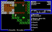 Ultima V: Warriors of Destiny for IBM PC/Compatibles - That door is locked, I'll need to move on...
