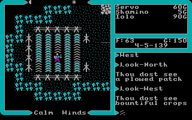Ultima V: Warriors of Destiny IBM PC/Compatibles Screenshot: Some bountiful crops.