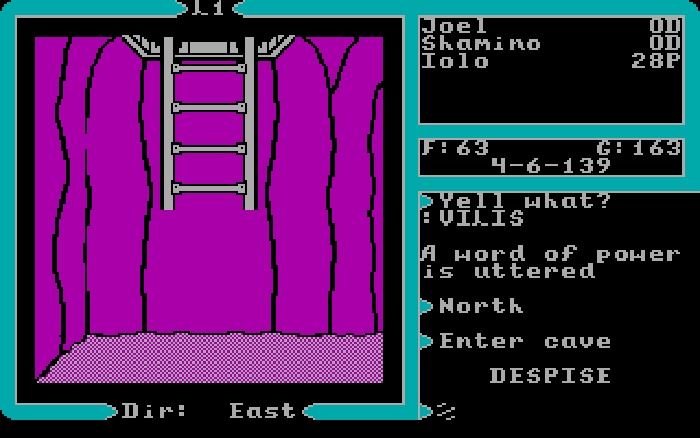 Ultima V: Warriors of Destiny IBM PC/Compatibles Screenshot: Climbing down the ladder into a cave...