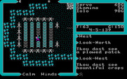 Ultima V: Warriors of Destiny for IBM PC/Compatibles - Some bountiful crops.