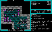 Ultima V: Warriors of Destiny for IBM PC/Compatibles - Talking to a character.