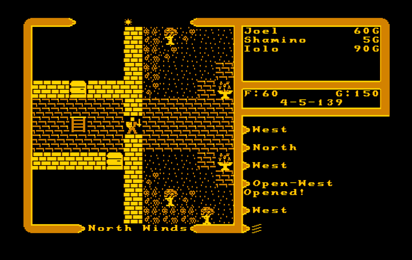 Ultima V: Warriors of Destiny IBM PC/Compatibles Screenshot: There's a ladder leading up to another floor...