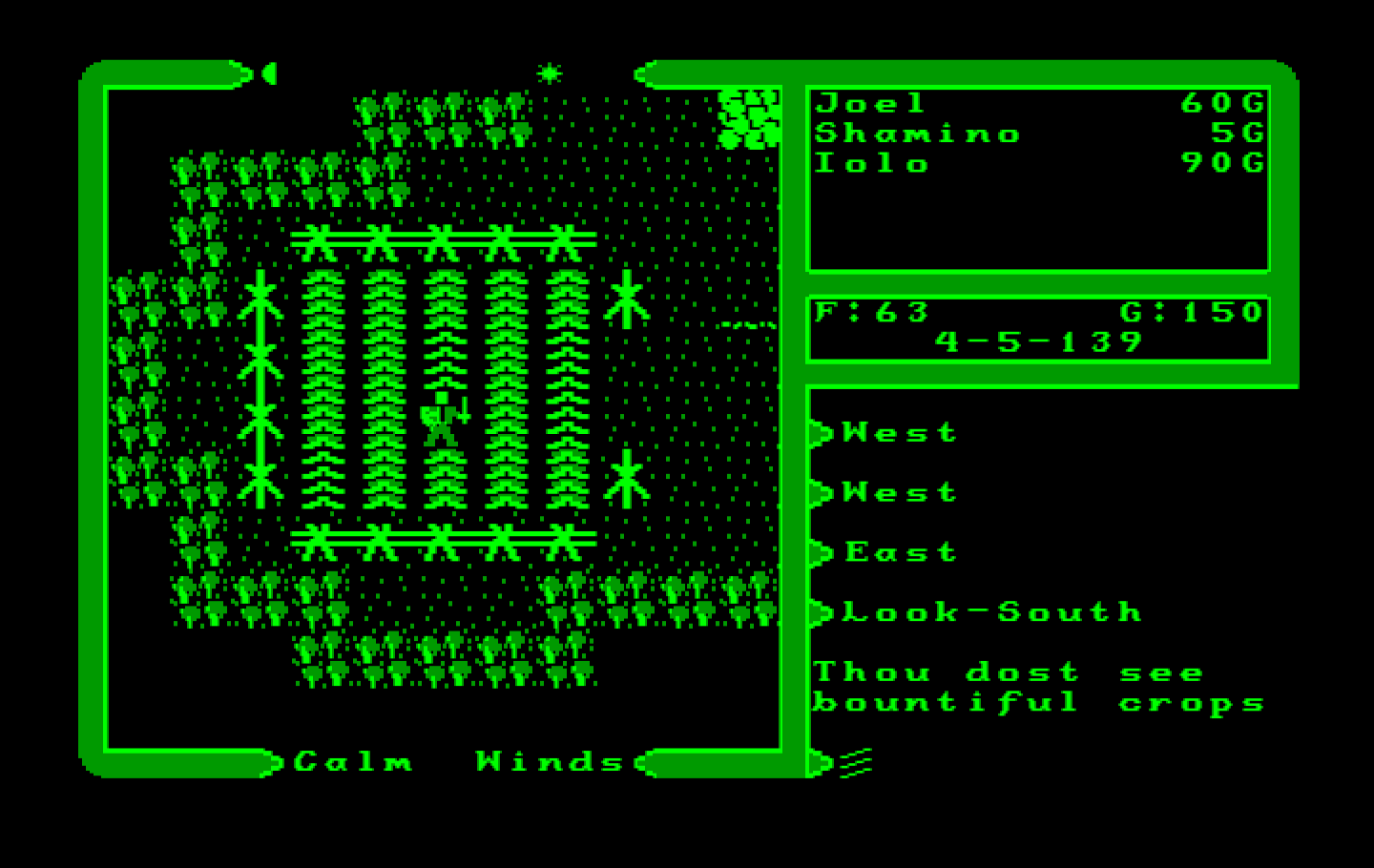Ultima V: Warriors of Destiny IBM PC/Compatibles Screenshot: Some bountiful crops here!