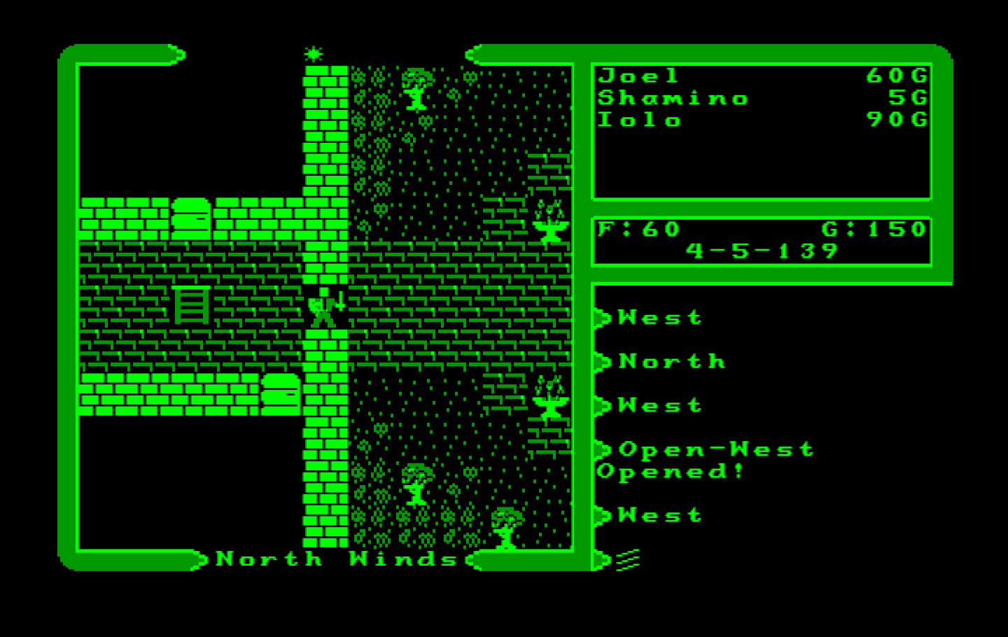 Ultima V: Warriors of Destiny IBM PC/Compatibles Screenshot: There's a ladder leading up to another floor...