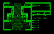 Ultima V: Warriors of Destiny for IBM PC/Compatibles - Entering a town.