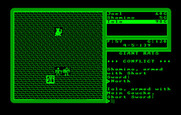 Ultima V: Warriors of Destiny for IBM PC/Compatibles - Conflict! Get ready to fight...