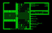 Ultima V: Warriors of Destiny for IBM PC/Compatibles - There's a ladder leading up to another floor...