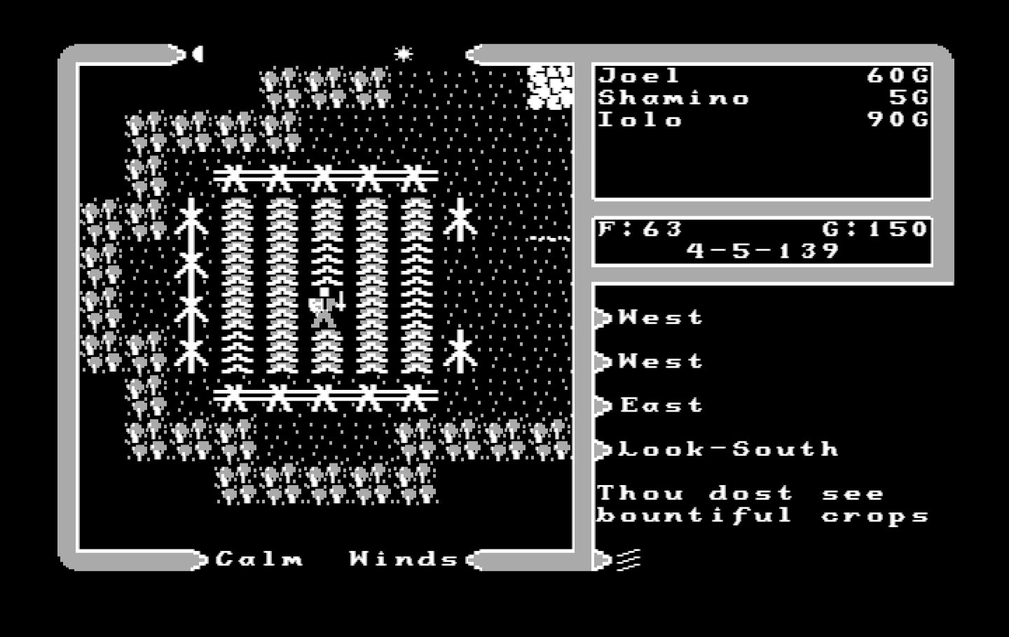 Ultima V: Warriors of Destiny IBM PC/Compatibles Screenshot: Some bountiful crops here!