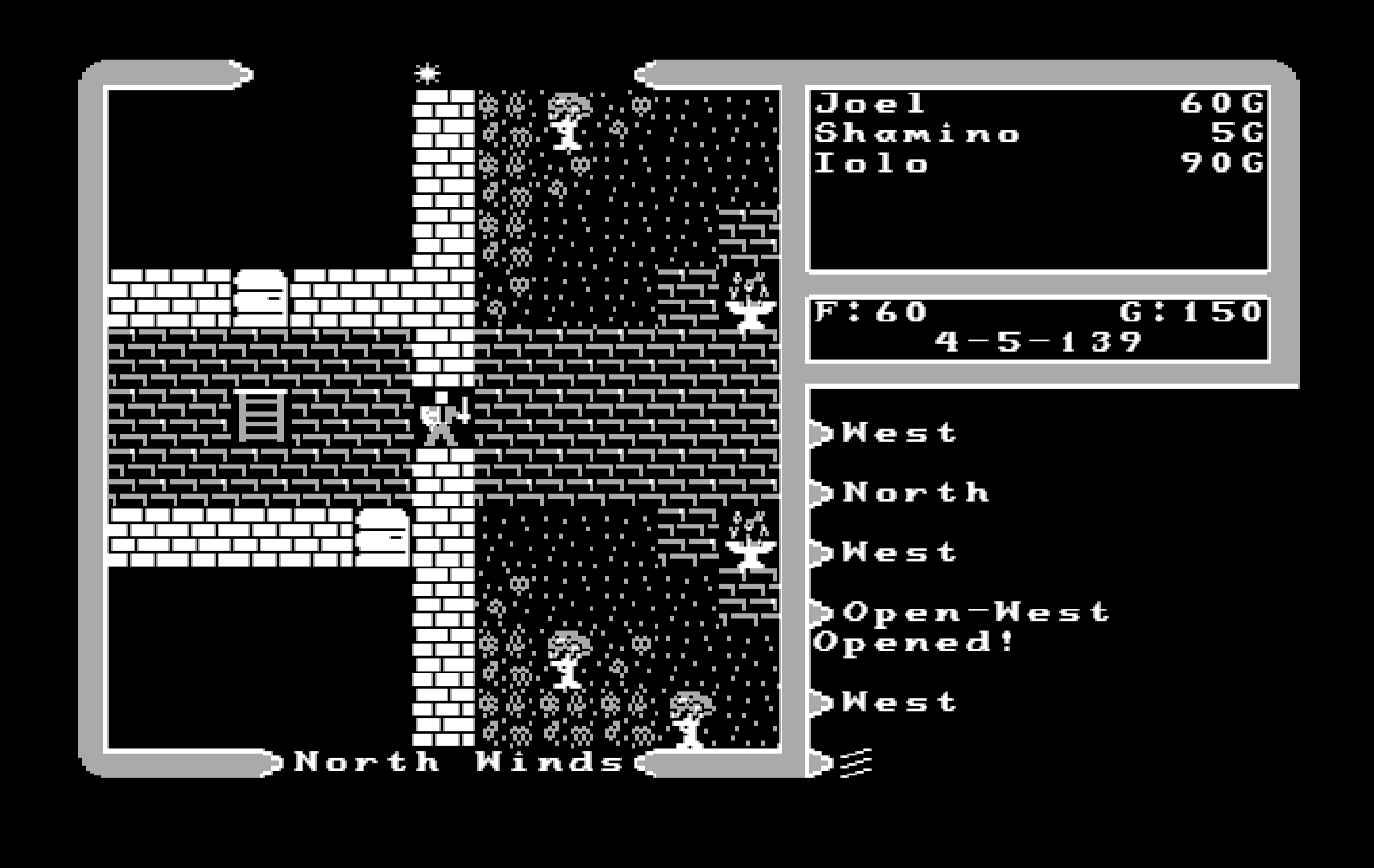 Ultima V: Warriors of Destiny IBM PC/Compatibles Screenshot: There's a ladder leading up to another floor...