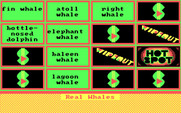 Wipeout for IBM PC/Compatibles - The hot spot moves if you wipeout.
