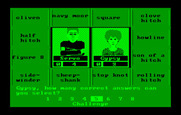 Wipeout for IBM PC/Compatibles - Betting in the challenge round.