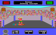 Star Rank Boxing II for IBM PC/Compatibles - Player one is knocked down!