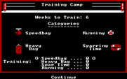 Star Rank Boxing II for IBM PC/Compatibles - You can train for 6 weeks; how will you allocate time?