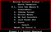 Star Rank Boxing II for IBM PC/Compatibles - Choosing an opponent.