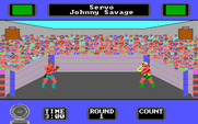 Star Rank Boxing II for IBM PC/Compatibles - Round 1, fight!