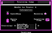 Star Rank Boxing II for IBM PC/Compatibles - You have 6 weeks to train and can select how to spend your time.