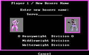 Star Rank Boxing II for IBM PC/Compatibles - Setting up a new player.