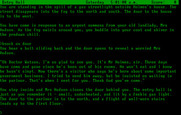 Sherlock: The Riddle of the Crown Jewels for IBM PC/Compatibles - Knocked on the door, and entered the house...