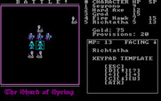 Shard of Spring for IBM PC/Compatibles - Player's turn to attack...