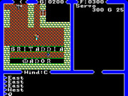 Ultima IV: Quest of the Avatar for Sega Master System - Welcome to Britannia Manor!