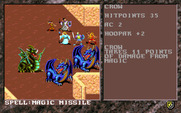 Dark Queen of Krynn, The for IBM PC/Compatibles - Battle screen.