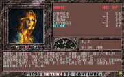 Dark Queen of Krynn, The for IBM PC/Compatibles - Entering the palace.