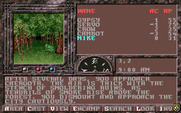 Dark Queen of Krynn, The for IBM PC/Compatibles - Heading out into the woods.