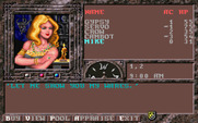 Dark Queen of Krynn, The for IBM PC/Compatibles - Need to buy anything?