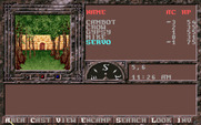 Dark Queen of Krynn, The for IBM PC/Compatibles - A door is ahead!