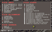Dark Queen of Krynn, The for IBM PC/Compatibles - Creating a new character.